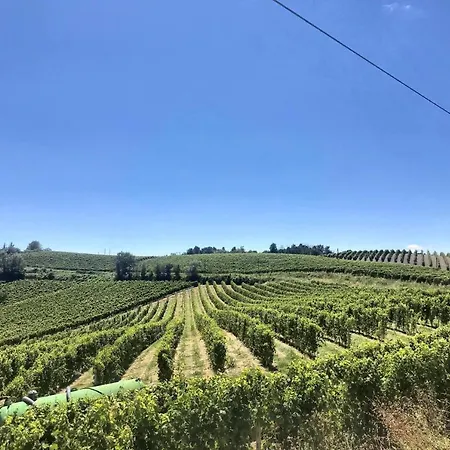 Cà Del Gallo Masio